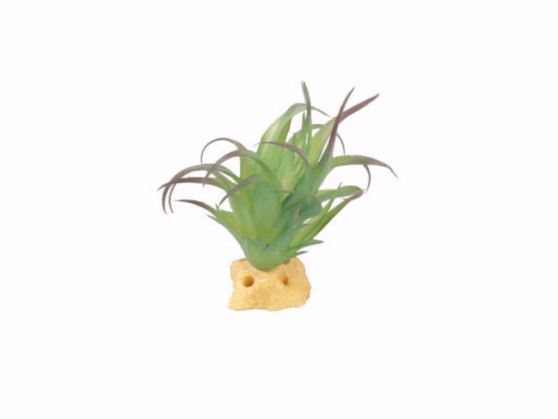 Terra Decor Planta Fluid 7 cm