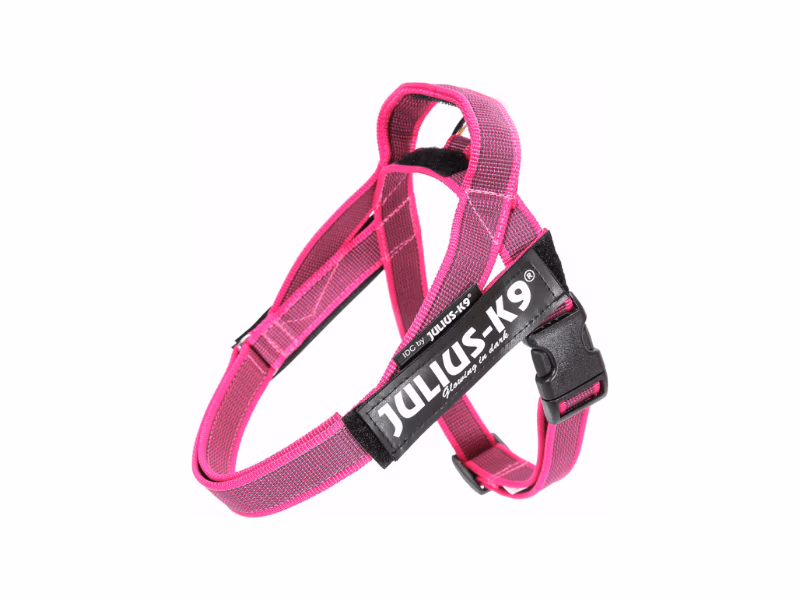 Arnês Julius K9 IDC Belt Rosa