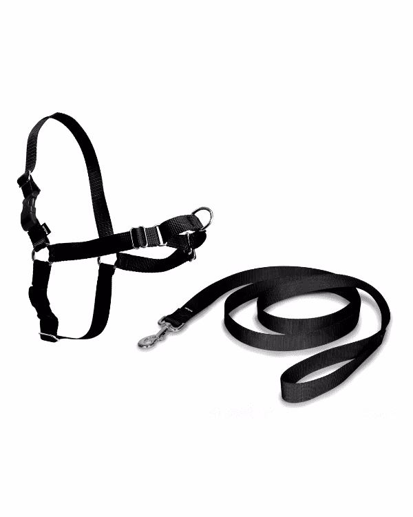 Peitoral Easy Walk Preto - Image 4
