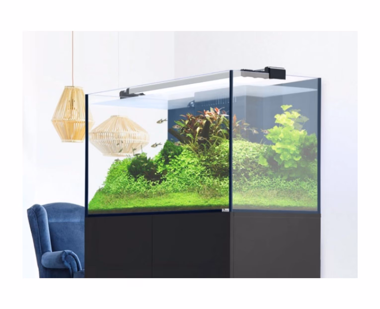Aquario Aquaview 120 – 278 L - Image 6