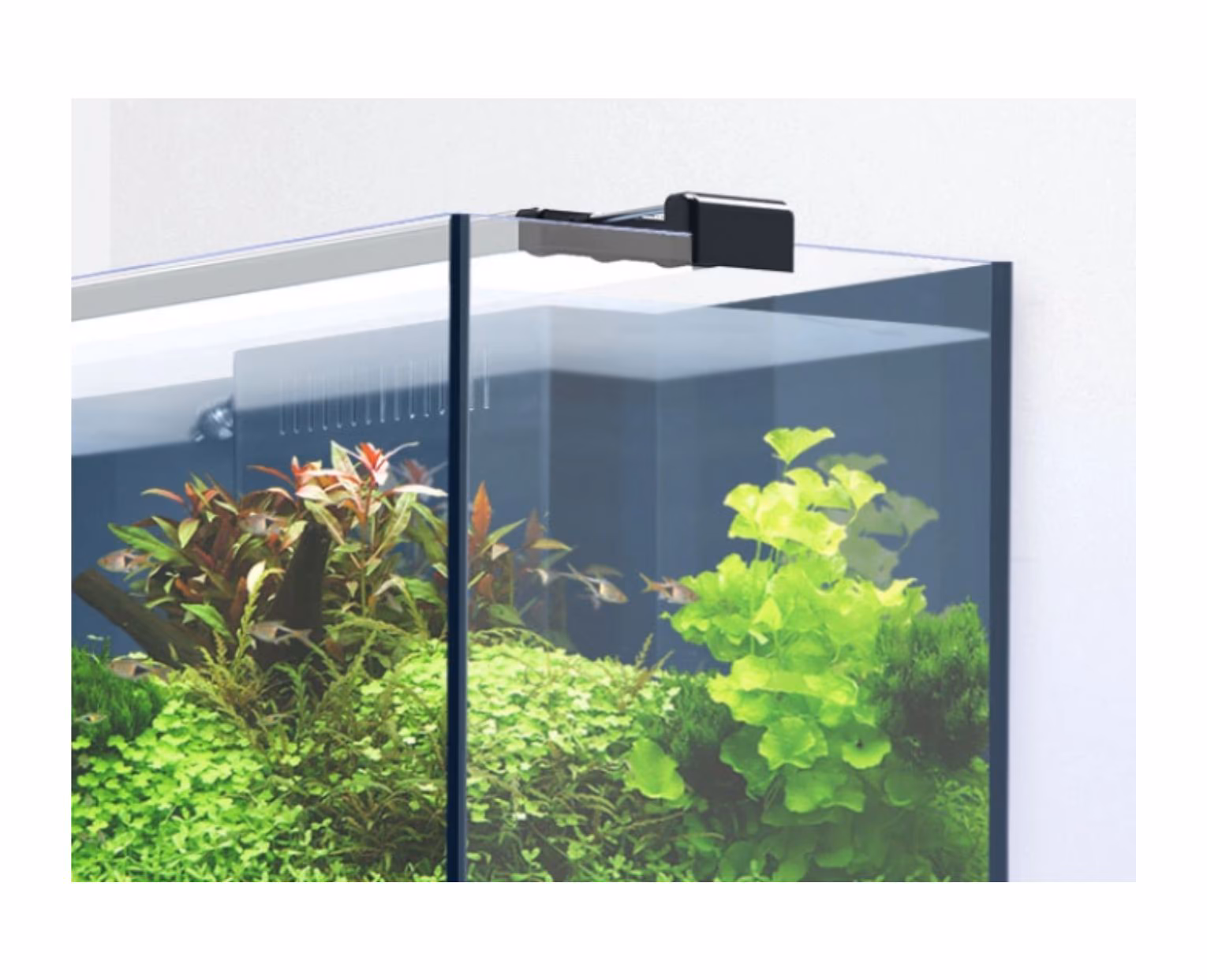 Aquario Aquaview 120 – 278 L - Image 4