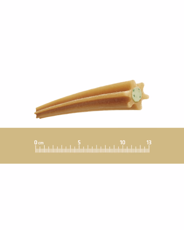 Snack Advance Dental Care Stick Medium / Maxi - Image 3